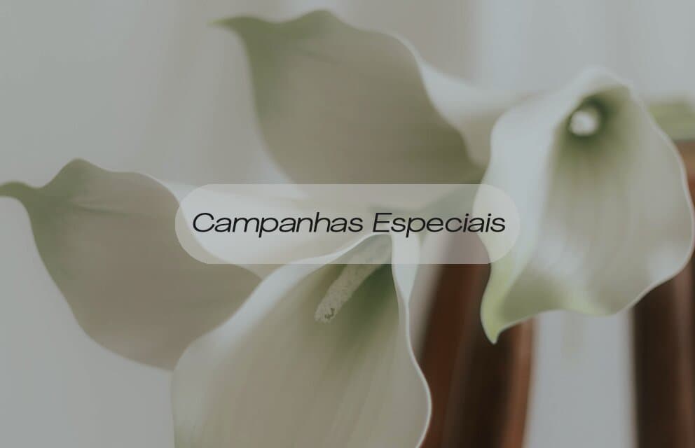 Um close-up suave e desfocado de três lírios brancos delicados e abertos, com hastes verdes escuras, inclinados sobre um objeto de madeira curvo. A luz é natural e divusa, com tons de branco, creme e marrom suave. Uma sobreposição de texto em português no centro diz Campanhas Especiais.